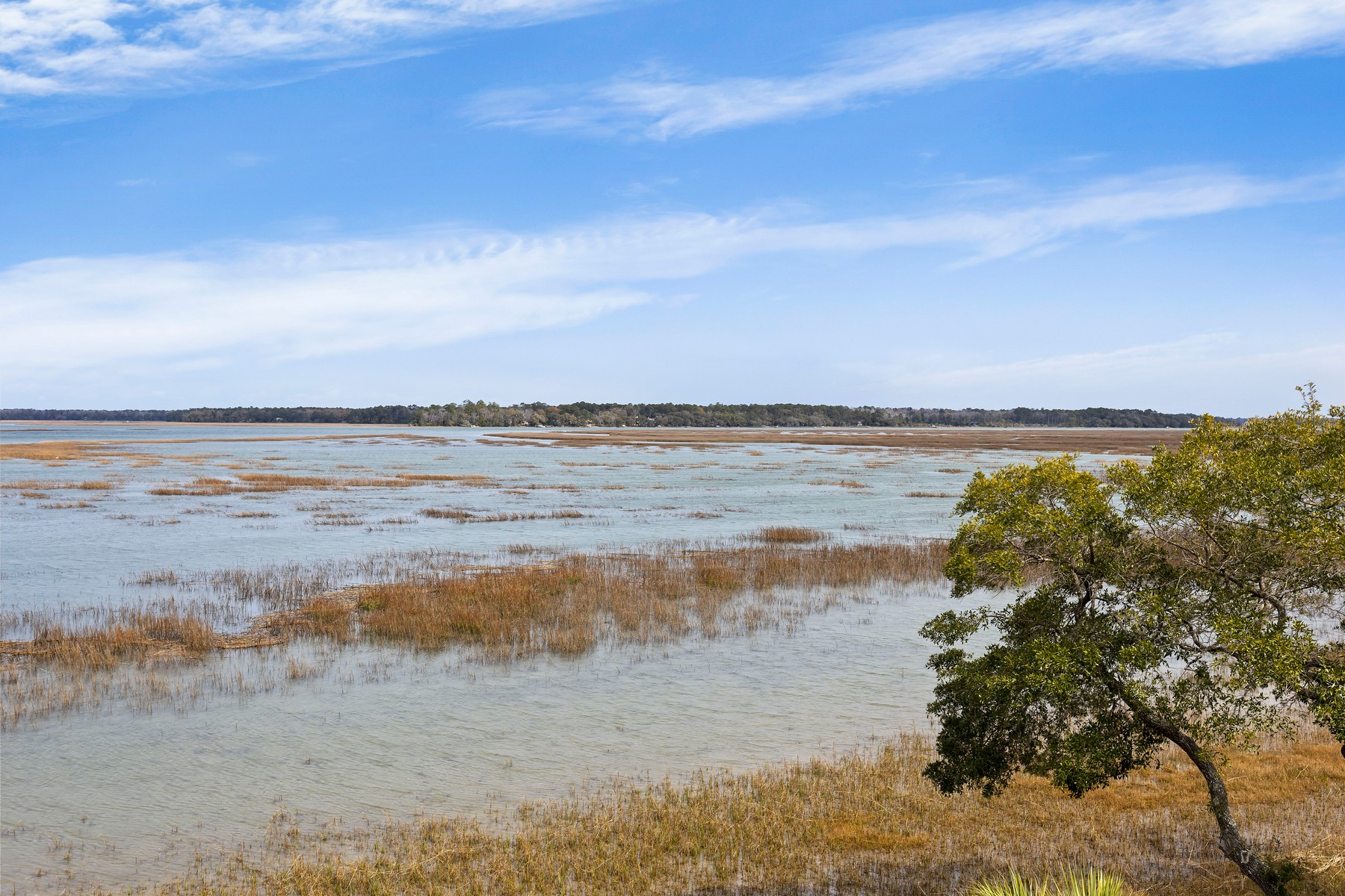 58 Lady Slipper - marsh view