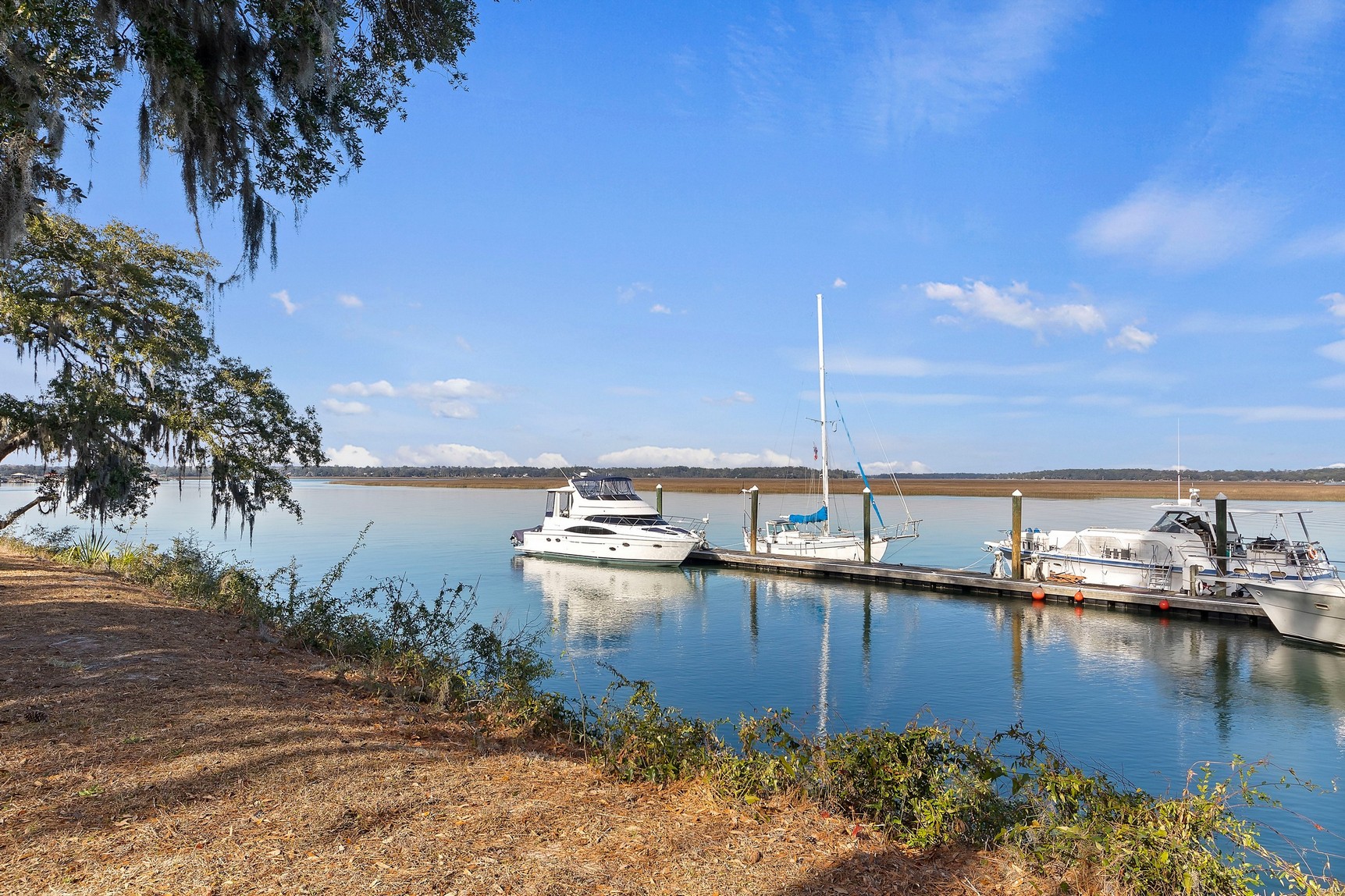 View from dock