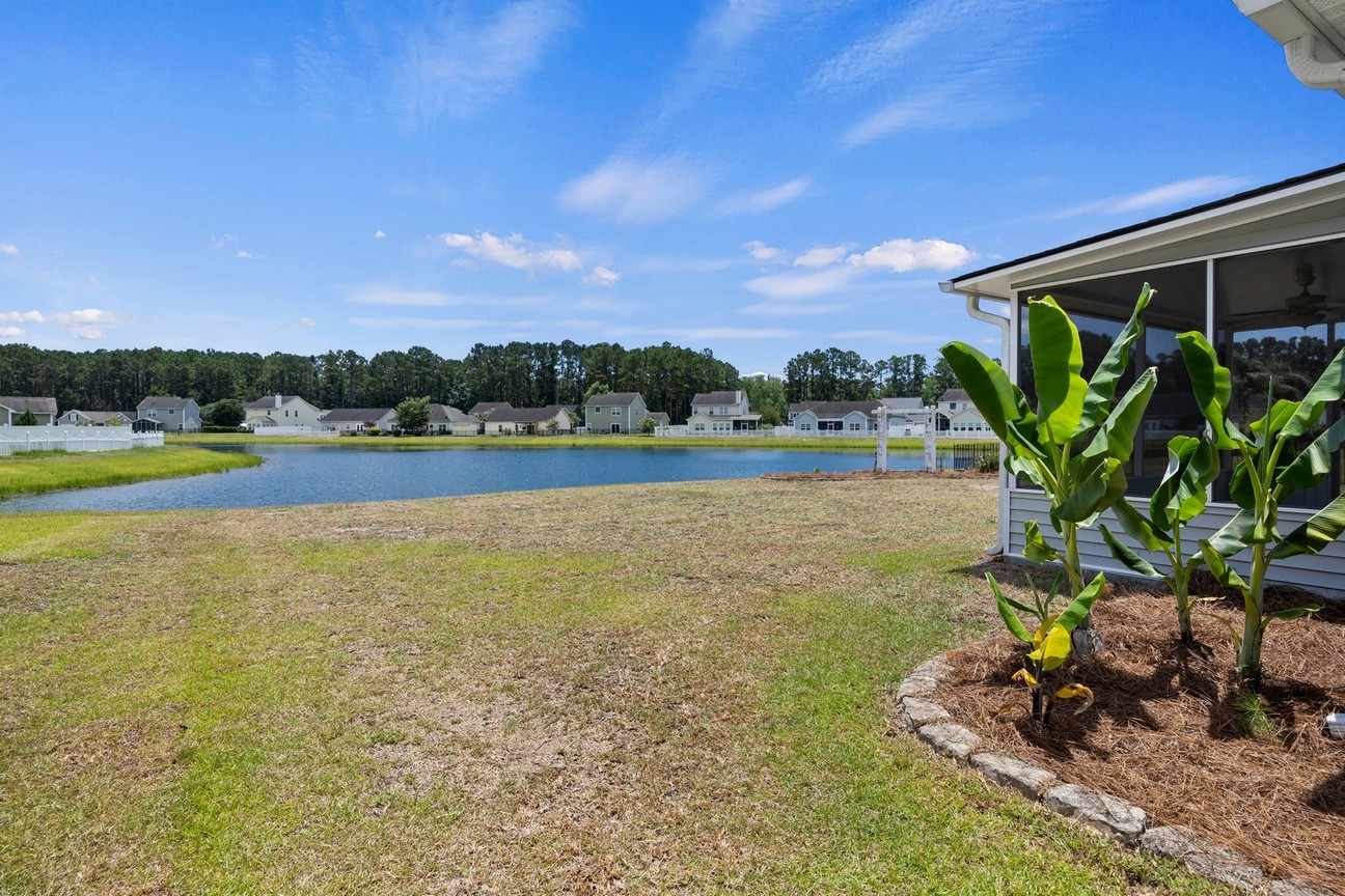 24 Sand Live Oak - backyard